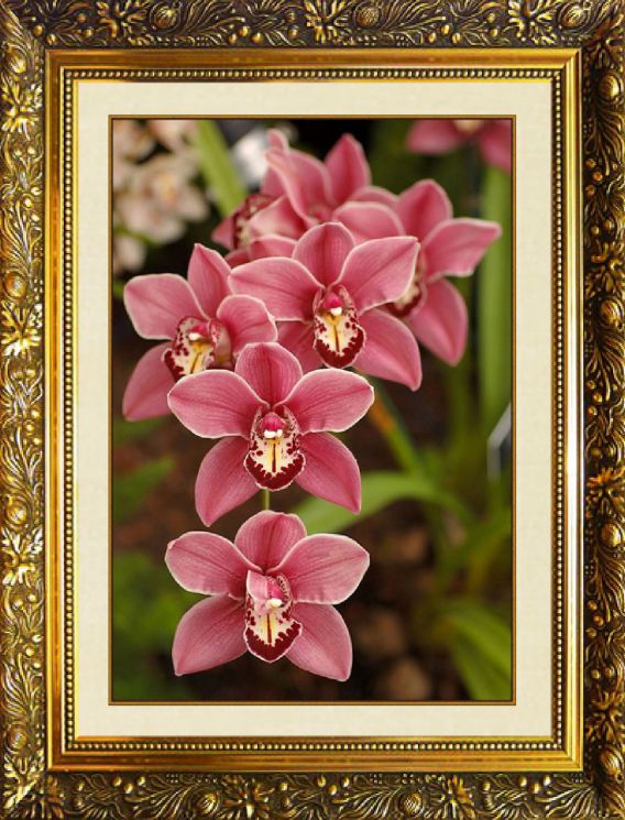 Алмазная мозаика Милато "Дикая орхидея" N-373