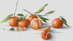 B2255 Набор для вышивания Luca-S "Спокойная жизнь с мандаринами"