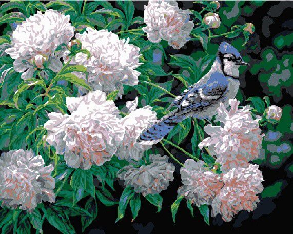 Картина по номерам Paintboy "Птичка на цветке" GX8477