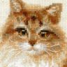 Набор для вышивания Риолис "Кошка домашняя" 1525