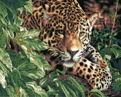 GX6833 "Леопард" (Paintboy)