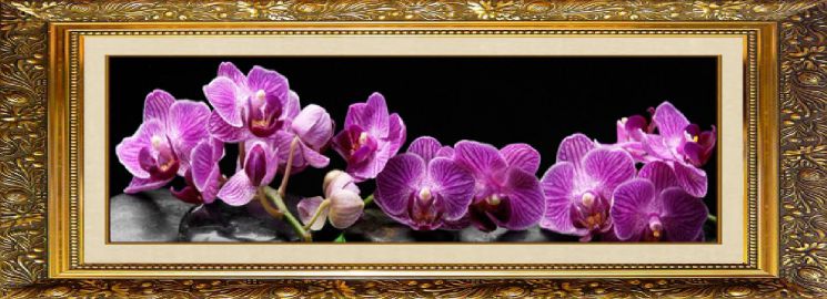 Алмазная мозаика Милато "Тропическая орхидея" F-176