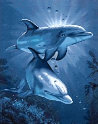 Ag 115 Алмазная мозаика Гранни "Свидание дельфинов"