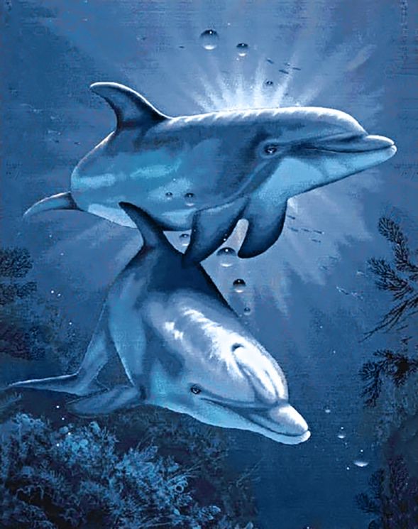Ag 115 Алмазная мозаика Гранни "Свидание дельфинов"