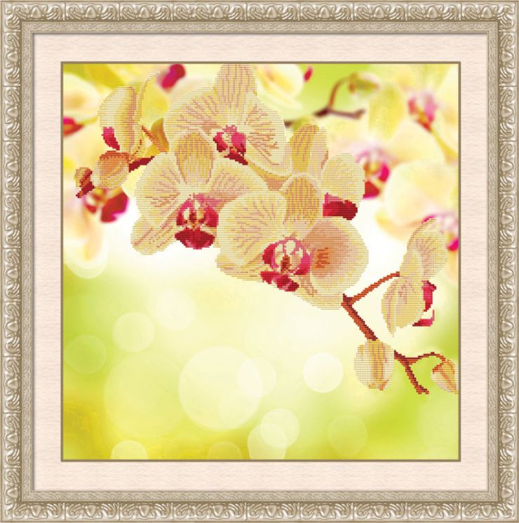 Алмазная мозаика Color Kit "Нежная орхидея" 80172