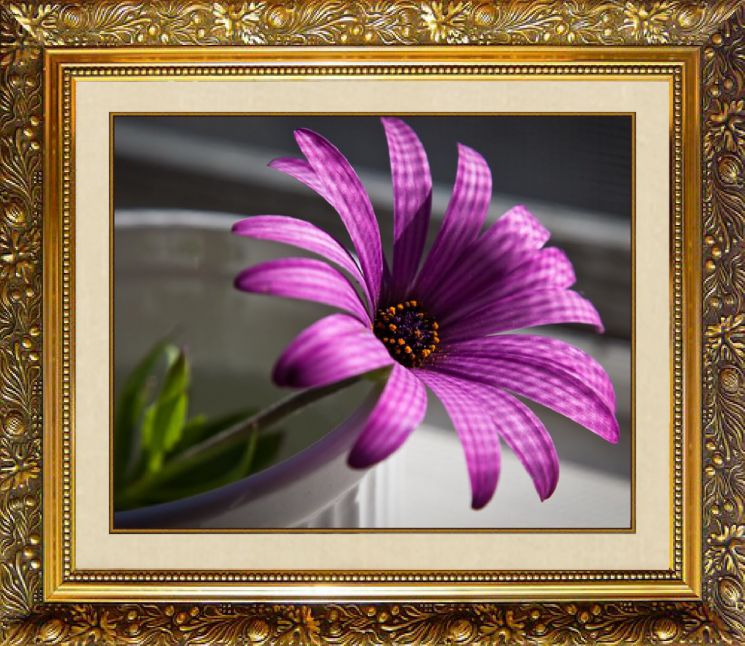 Алмазная мозаика Милато "Фиолетовый цветок" N-103