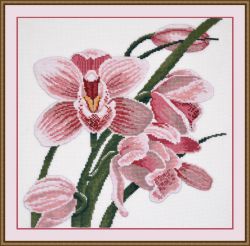 762 Зов орхидеи (Овен)