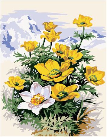 EX 5629 Картина по номерам Paintboy "Горные цветы"