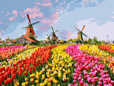 EX 6367 Картина по номерам Paintboy "Разноцветное поле тюльпанов"