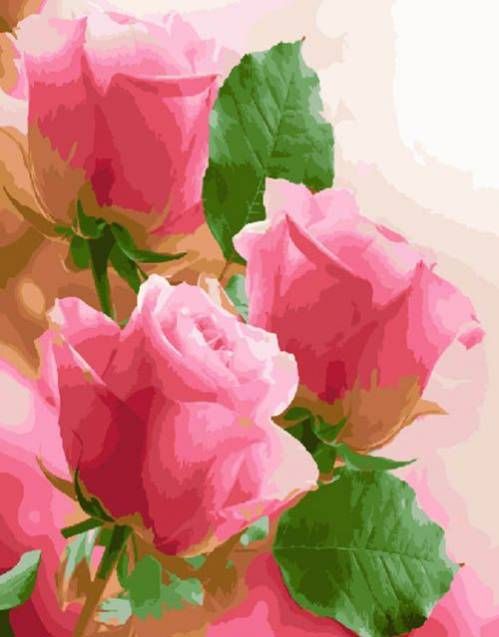 Картина по номерам Paintboy "Розовое трио" GX23781