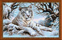 1184 Набор для вышивания Риолис "Бенгальский тигр"