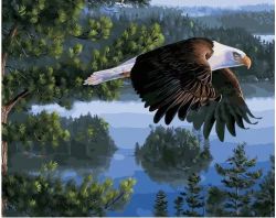 МСА670 Картина по номерам Paintboy "Летящий орел"